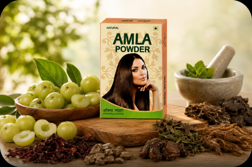 Ayurvedic Amla Churna for Digestion, Immunity & Hair Health | Gopal Amla Churna