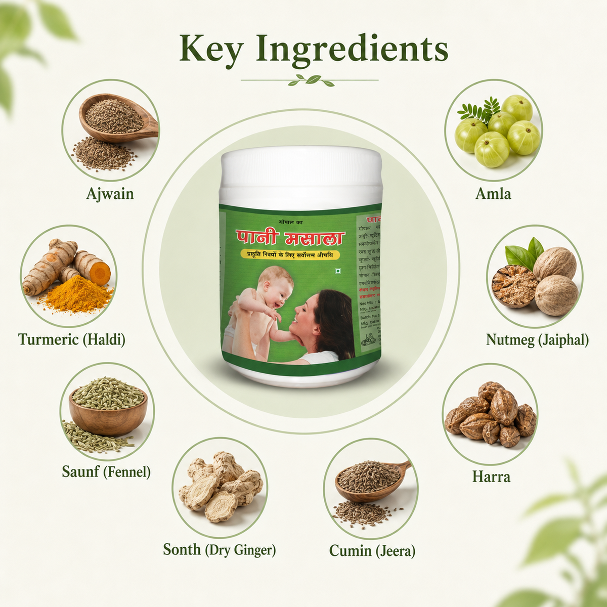 Gopal Pani Masala Powder Key Ingredients
